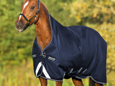 Horseware Amigo Bravo Wug 50 Gr