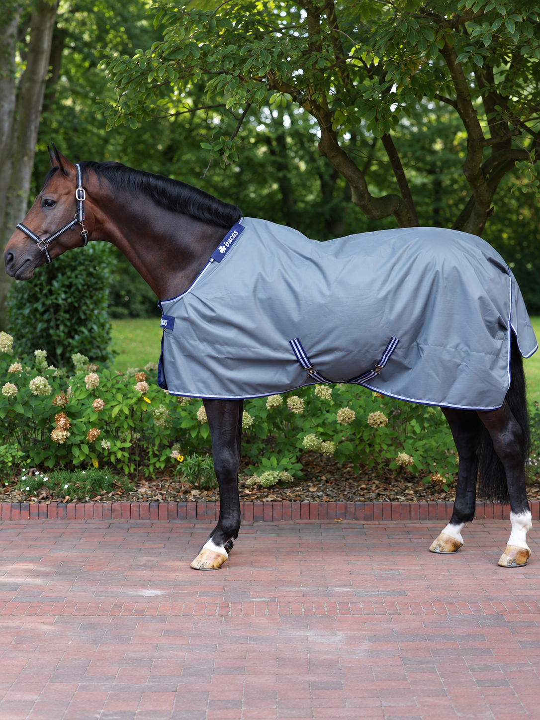 Bucas IVR Turnout 200g grey/blue