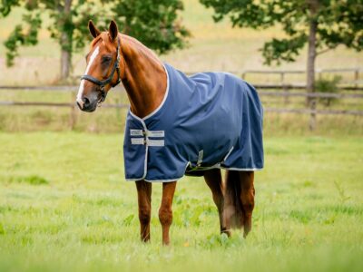 Horseware Amigo Ripstop 900D Turnout 50g Navy/Titanium Grey