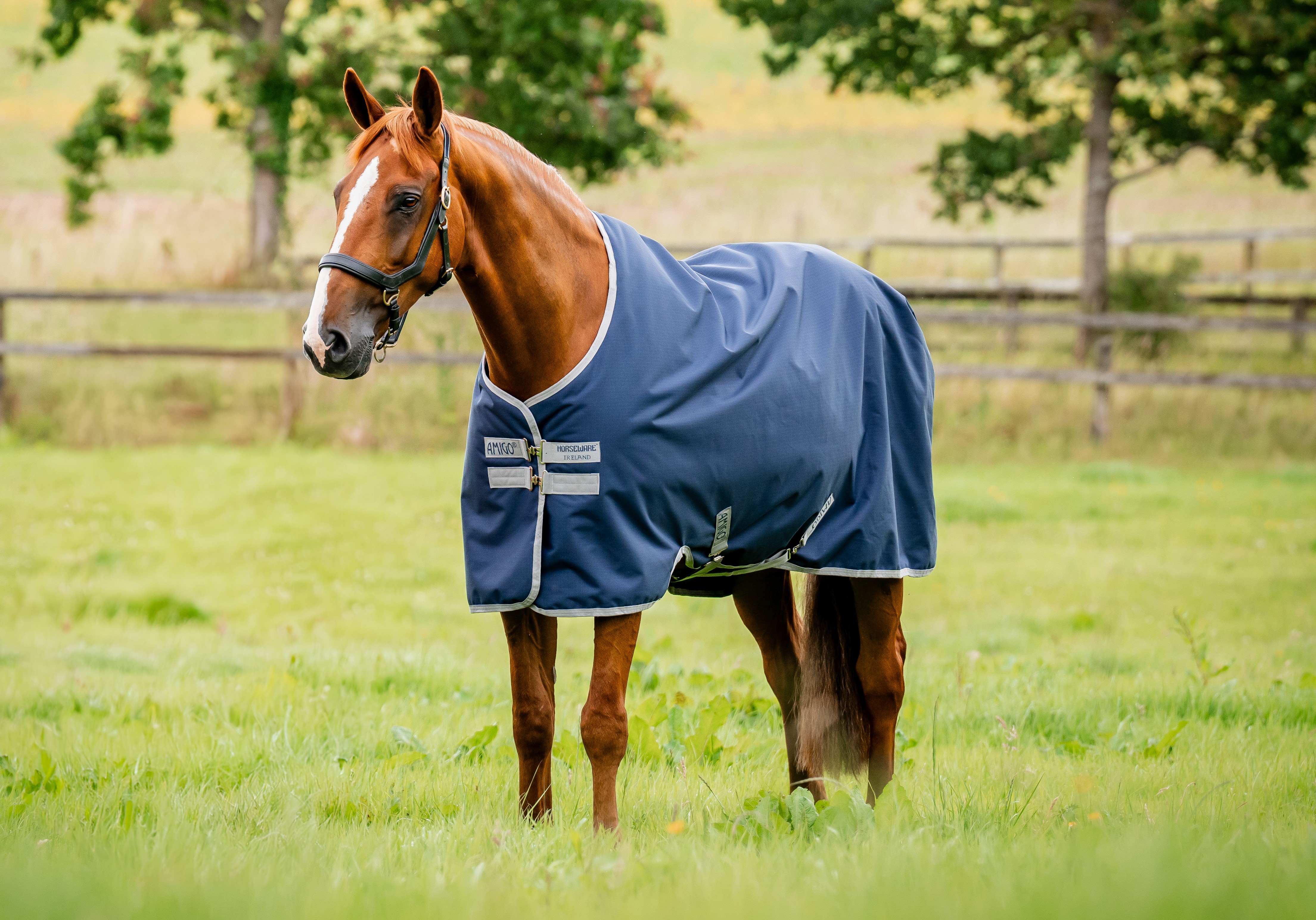 Horseware Amigo Ripstop 900D Turnout 50g Navy/Titanium Grey