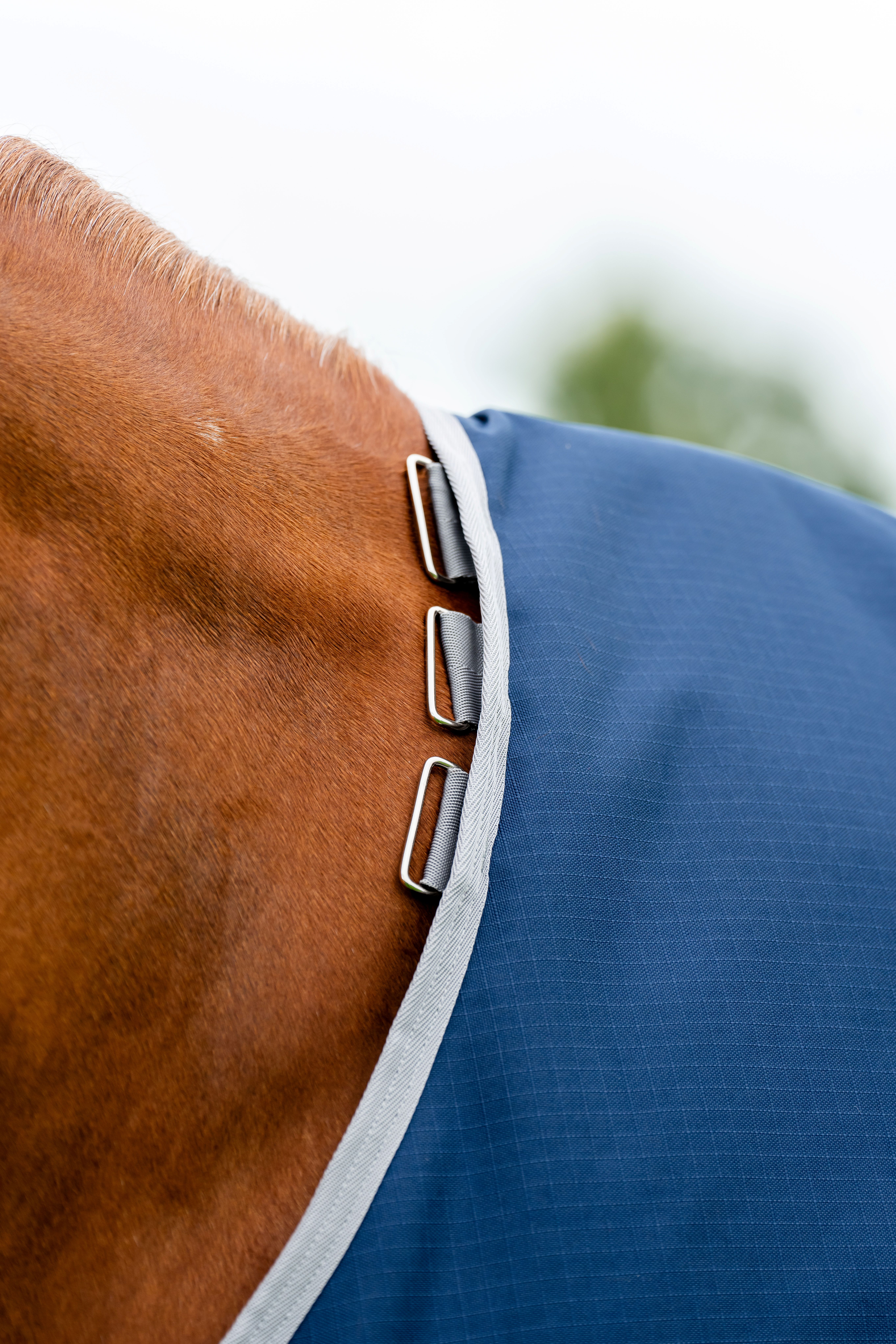 Horseware Amigo Ripstop 900D Plus Turnout 100g Navy/Titanium Grey – Bild 2