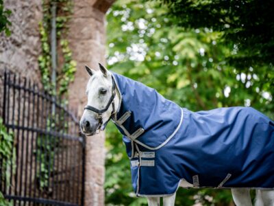 Horseware Amigo Ripstop 900D Plus Turnout 100g Navy/Titanium Grey