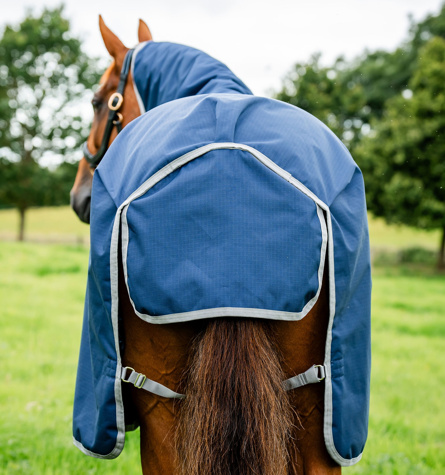 Horseware Amigo Ripstop 900D Plus Turnout 100g Navy/Titanium Grey – Bild 3