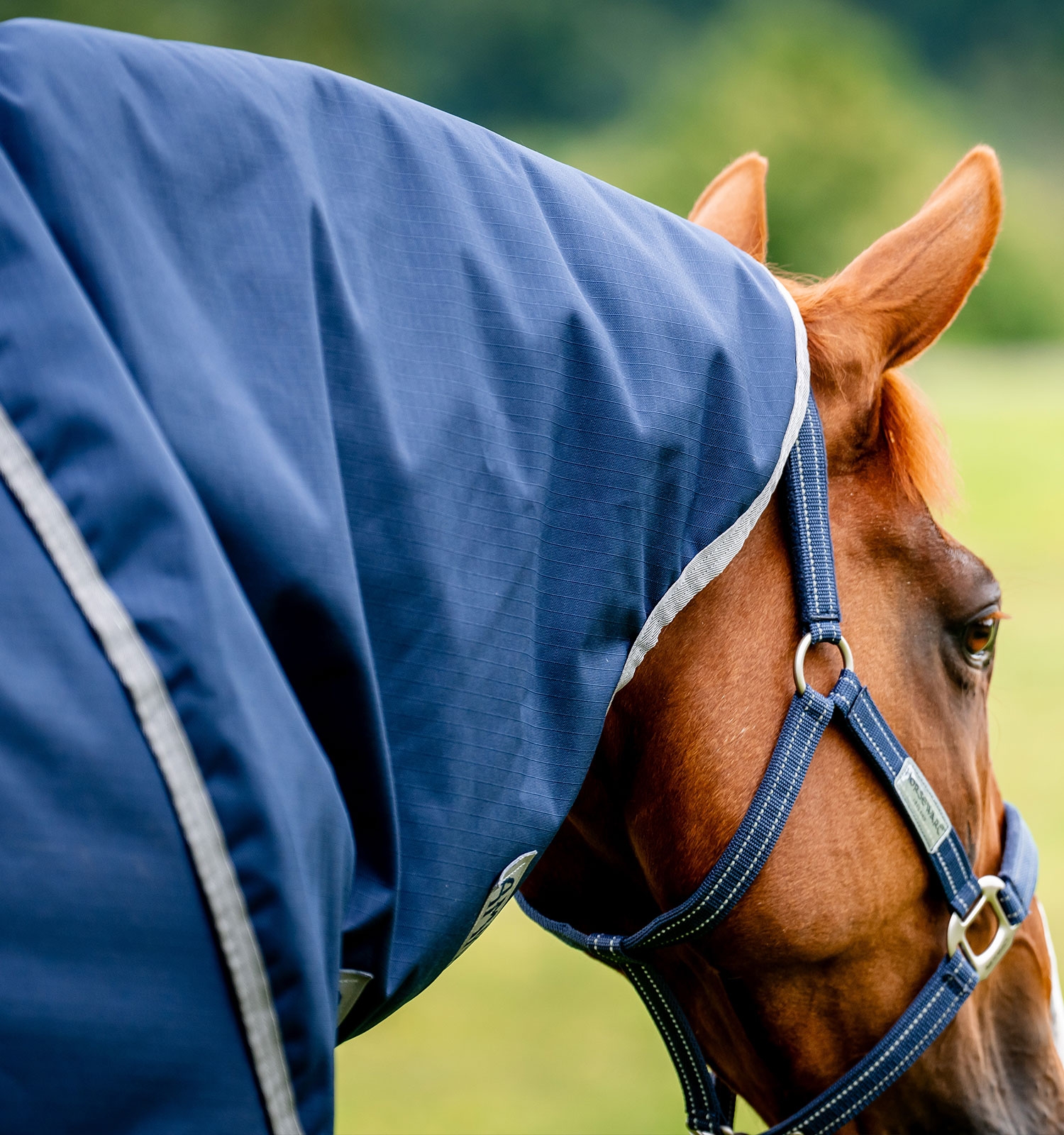 Horseware Amigo Ripstop 900D Plus Turnout 100g Navy/Titanium Grey – Bild 4