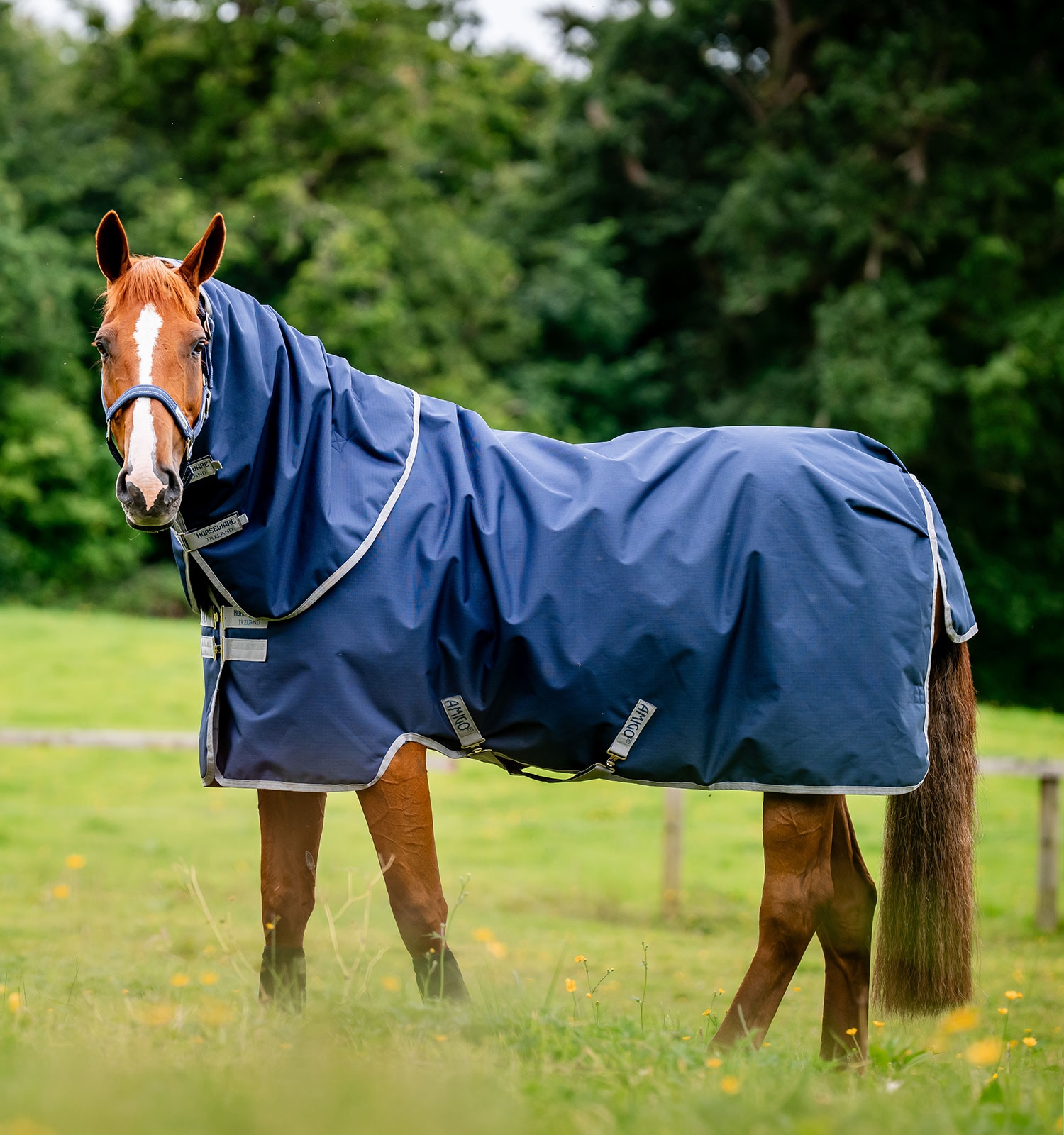 Horseware Amigo Ripstop 900D Plus Turnout 100g Navy/Titanium Grey – Bild 9
