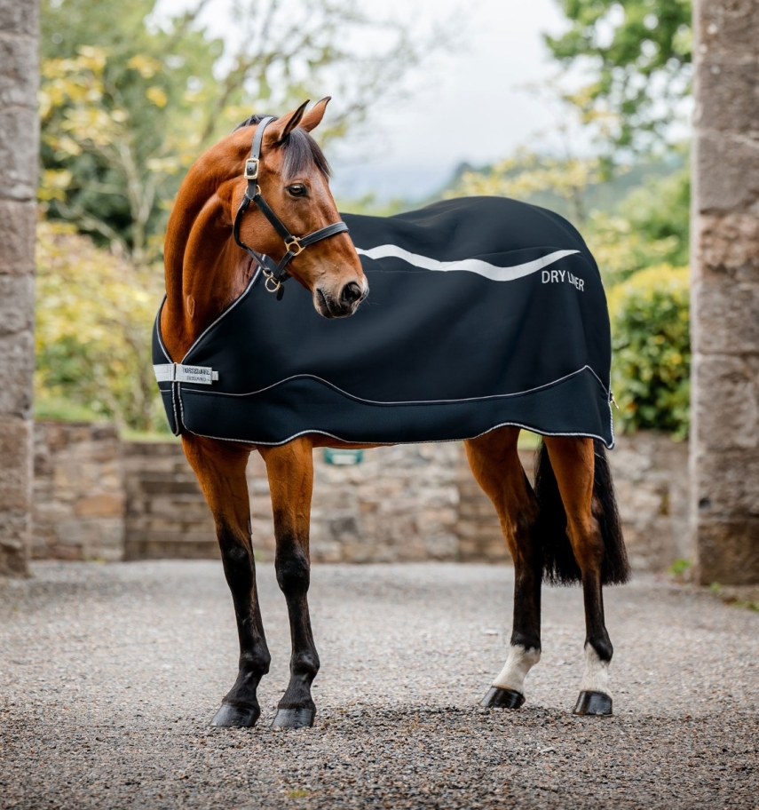HORSEWARE Dry Liner 50g Navy/Silver – Bild 8