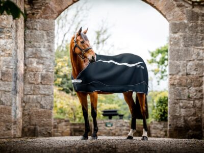 HORSEWARE Dry Liner 50g Navy/Silver