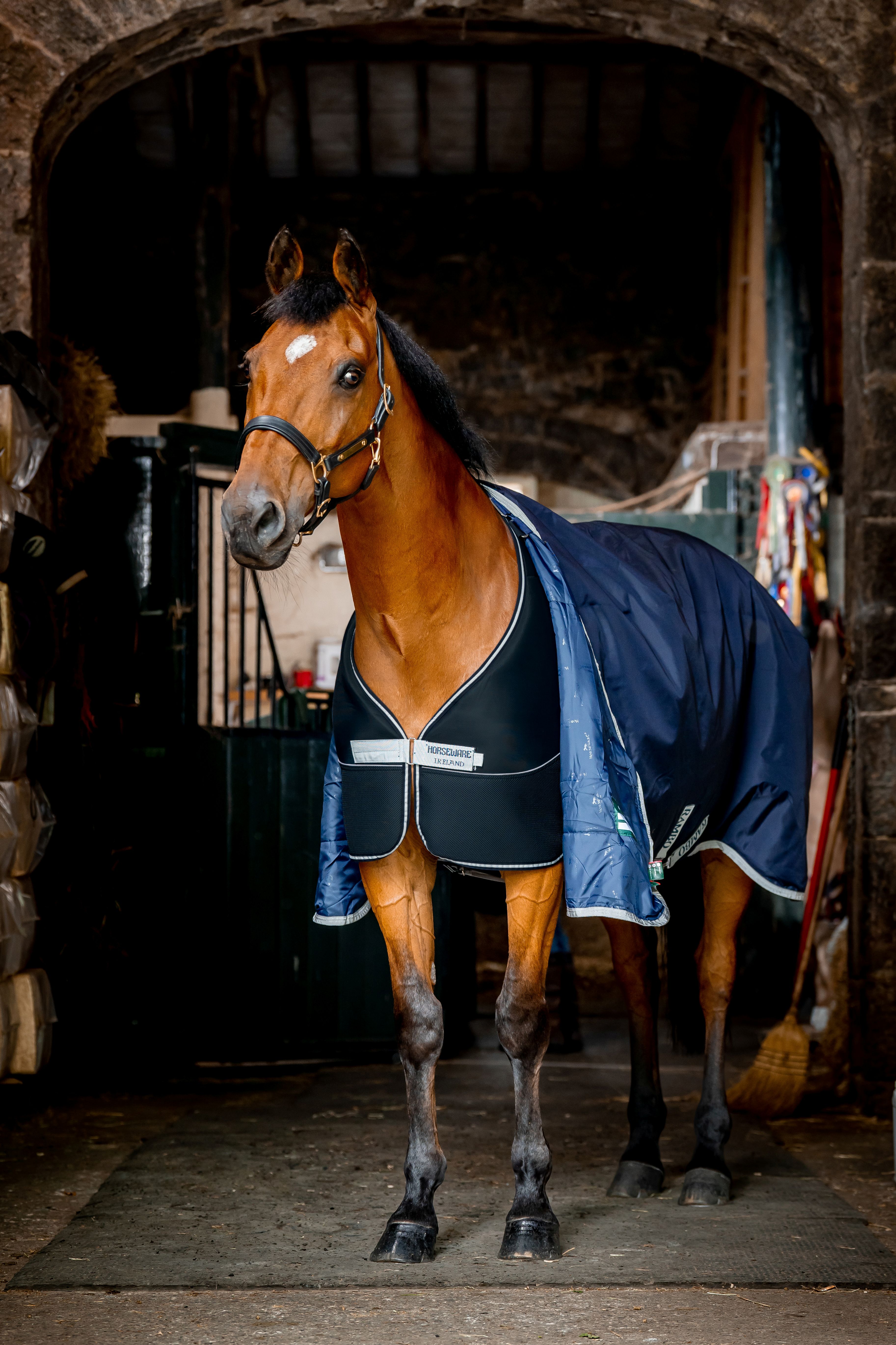 HORSEWARE Dry Liner 50g Navy/Silver – Bild 2